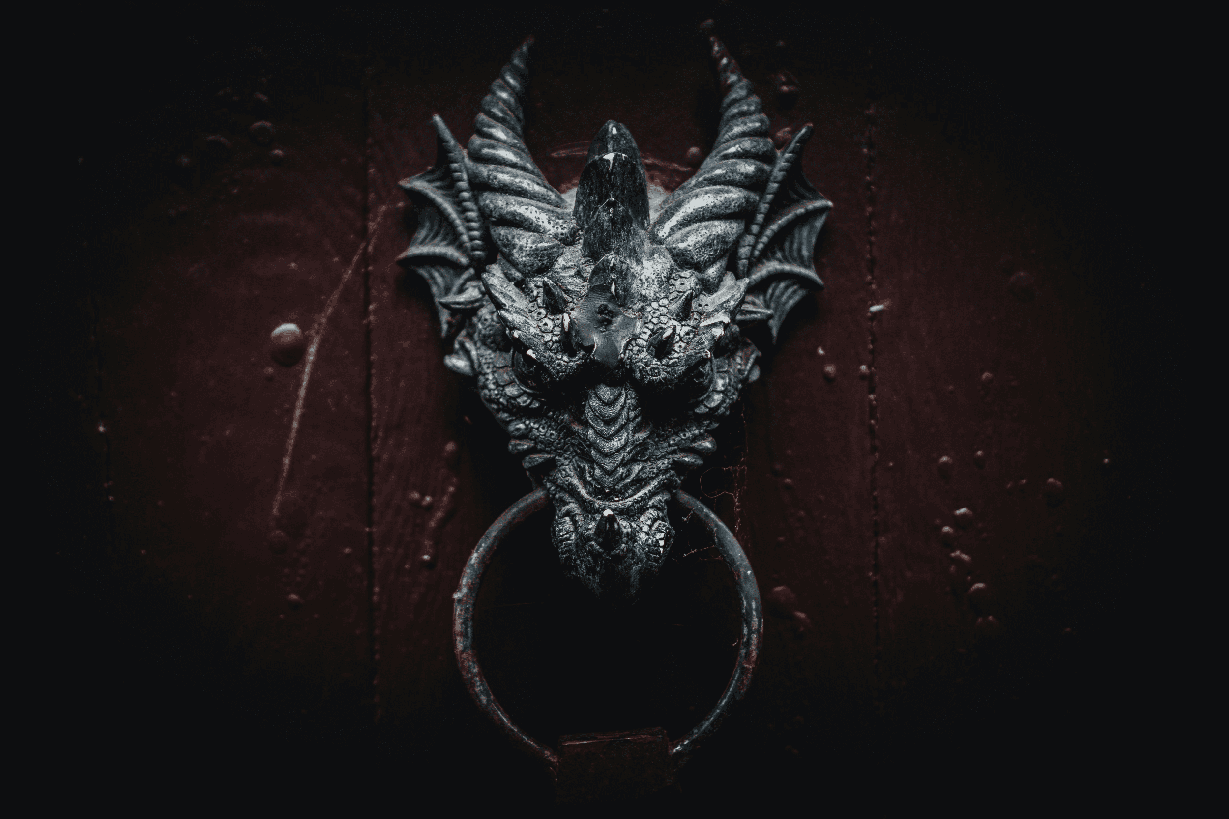 A picture of a dragon door knocker A picture of a dragon door knocker